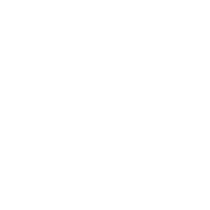 Montanwerke-Brixlegg-Logo-g.png
