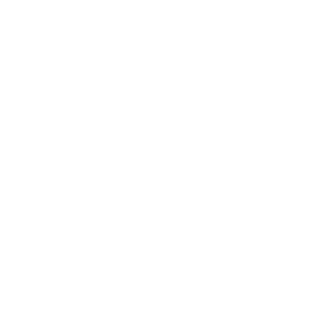 Viessmann-Logo-g.png